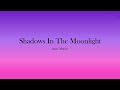 Anne Murray - Shadows In The Moonlight (Lyrics)