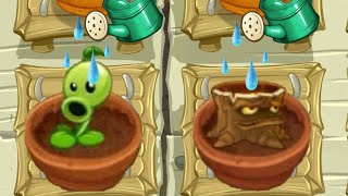 All Animation Fire Plants In Zen Garden - Plants Vs Zombies 2