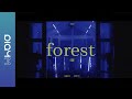 Seungwoo - Forest (Live Version)