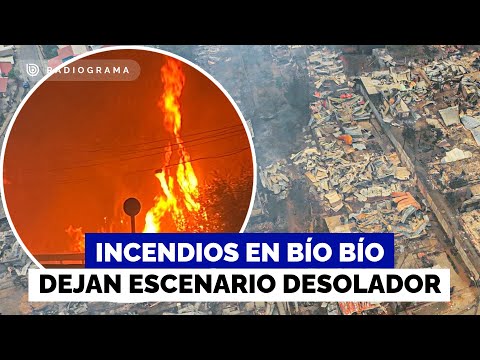 Catástrofe en el Bío Bío: La devastación que han dejado los incendios que afectan a la región