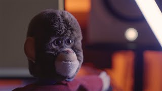 Wabie - Holly Holly video