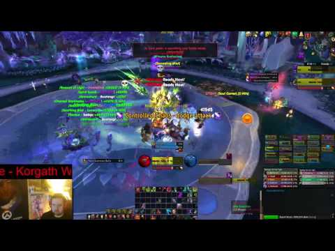 War Ensemble vs High Botanist Tel'arn - Normal (Tank PoV)