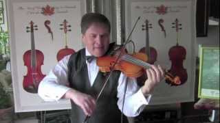 Serguei Tchepournov - Wedding Dance - Gypsy Music Violin