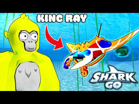 I Got The Most OP KING MANTA RAY In SHARK GO VR!