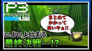 全てを終わらせる戦いと終わっているヒヨコ【ペルソナ3 リロード #19】※ネタバレ注意配信