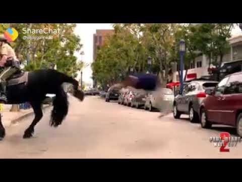 Funny video k maza aja(80)