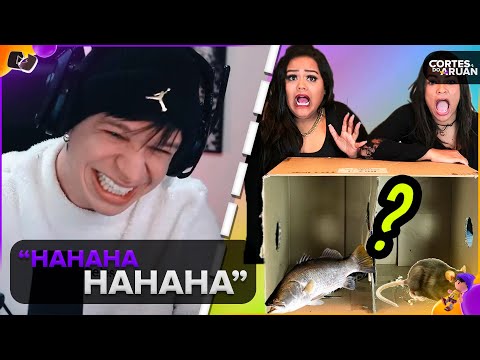 ARUAN REAGE: O QUE TEM NA CAIXA !? (DESAFIO) (CAMILA LOURES) - Cortes do Aruan