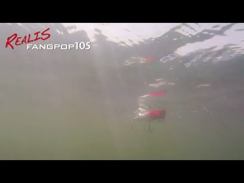 Lures In Motion: Realis FangPop105
