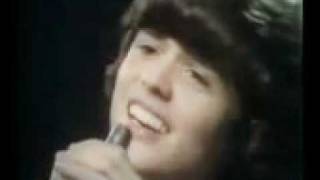 Donny Osmond - Why (lyrics)
