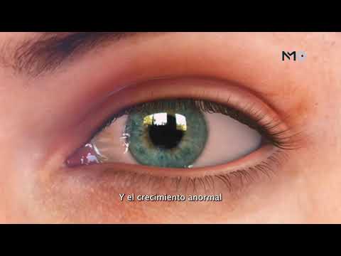 Nicolás Montes-6