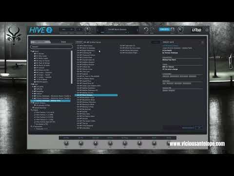 U-He Hive 2 Expanse - Mellow Pads presets walkthrough - Vicious Antelope