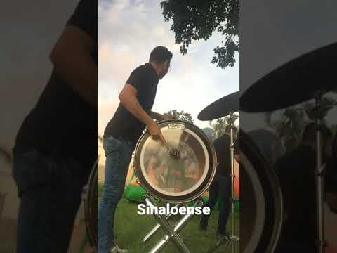 Sinaloense (tambora)