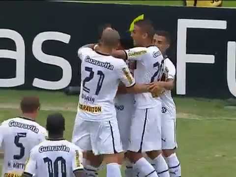 Taça Rio 2013 - 5ª rodada - Botafogo 3 x 1 Friburguense - gols