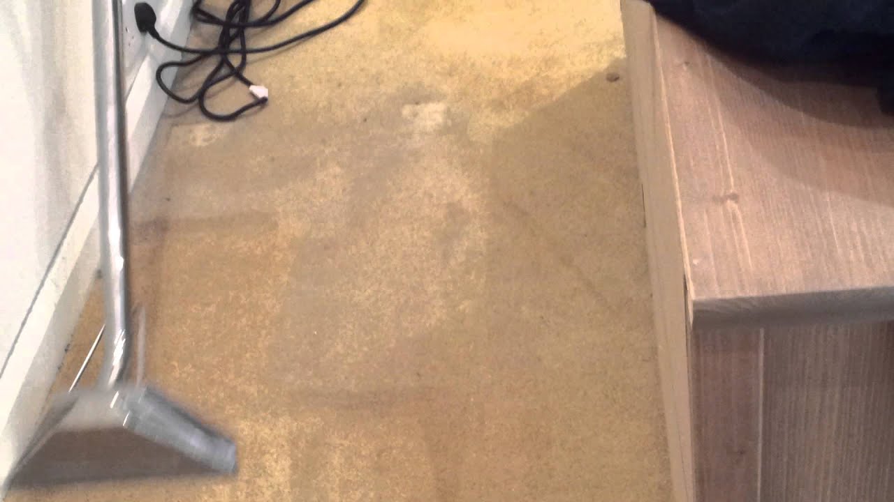 Carpet Cleaning (steam cleaning) from Tersus services