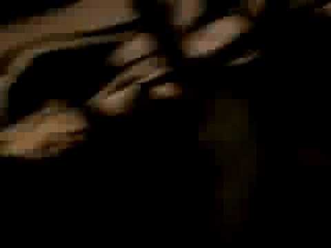 Jogo Ponte Preta x Avaí