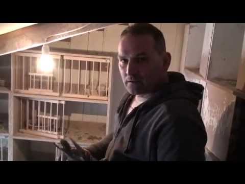 Roman Jaguś - Orzechów