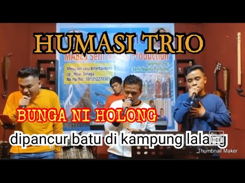 BUNGA NI HOLONG HU || HUMASI TRIO
