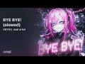 SNTNV, mad arieri - BYE BYE! (slowed)