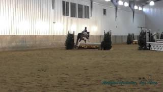 Fields & Fences January Open Hunter/Jumper Show 2014