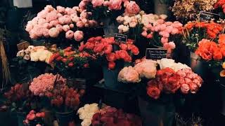 Marshmello ft. Bastille - Happier (Frank Walker Remix with Original)