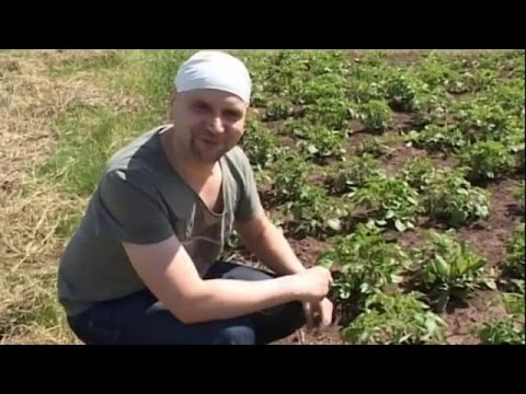 Немец живёт в чувашском селе