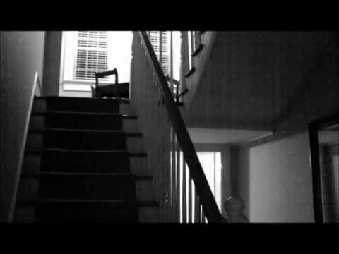 Wampee Plantation Investigation Orbs Pinopolis SC