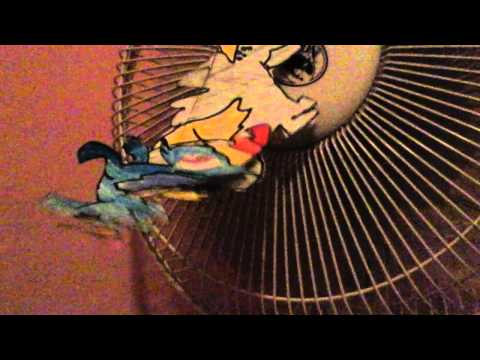 Pinkie Pie VS Rainbow Dash VS Derpy Hooves