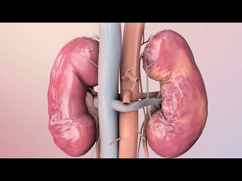 Why Potassium Is Good For Your Body And When Too Much Is Dangerous