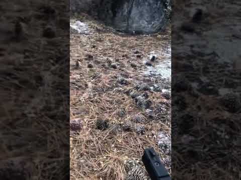 Best target pistol 22lr - Browning Buck Mark