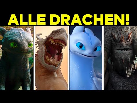 ALLE 107 DRACHEN Erklärt! (Drachenzähmen leicht gemacht)