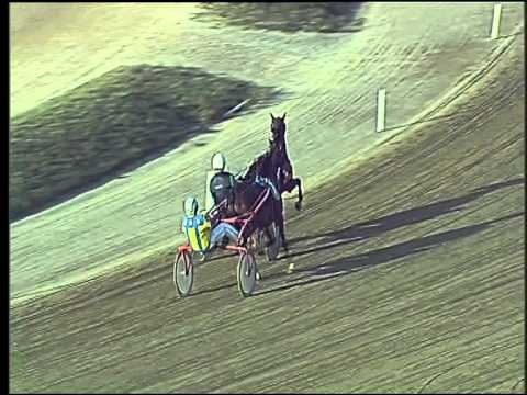 Trotto 17/09/2015 - 1°prova di riqualifica