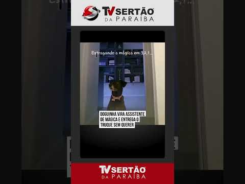 Mágica deu errado! Cachorrinha 
