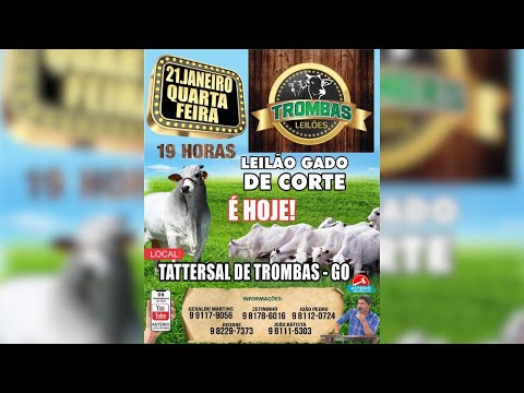 TROMBAS LEILÕES - TROMBAS GOIAS 21/ 01/ 2026