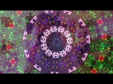 michele adamson live stream for Ohm Ladies