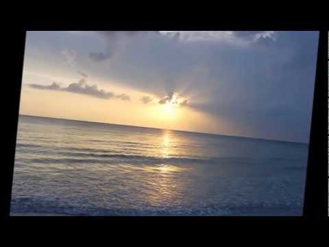 i tuoi occhi di sole...(i bisonti)