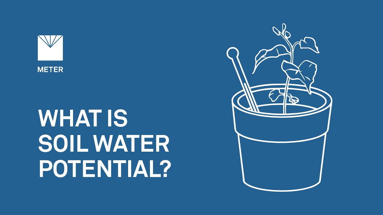 What is soil water potential? - Explainer Video by METER