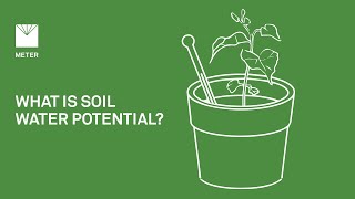 What is soil water potential? - Explainer Video by METER