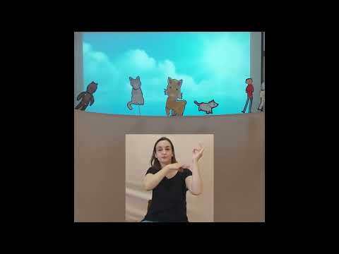 A quinta da Amizade   Video final