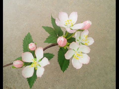 How To Make Apple Blossom Paper Flower From Crepe Paper - Craft Tutorial