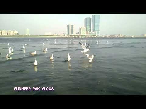 clifton karachi | karachi sea view beach |pakistan samundri parindey