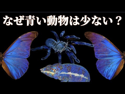 植物の成長の仕組み 自然と動物