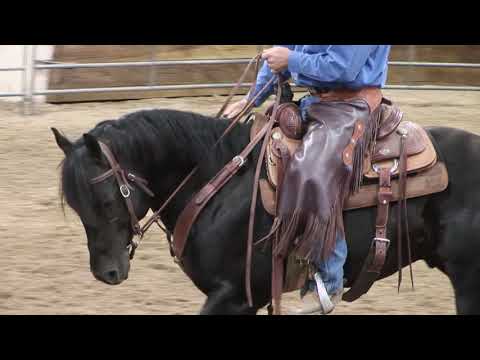 Teaching the Spin from Lateral Movements (Part 1)