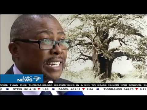 Transnet announces a 5.3% increase in revenue - SABC News - Breaking news, special reports, world, business, sport coverage of all South African current events. Africa's news leader.