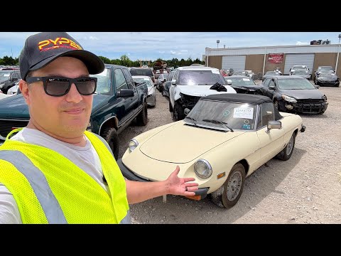 I Found a TON of Abandoned Classic Donations at IAA! Bidding on 6 Cars!