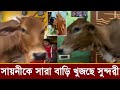 সায়নী চক্রবর্তীকে সারা বাড়িতে খুজছ