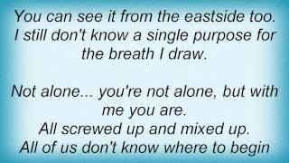 Lifetime - Ostrichsized Lyrics