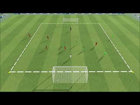 5 gegen 5 (4 plus 1) auf 2 Jugendtore