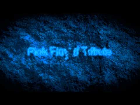 PULS - Teaser Fjæreheia 2014