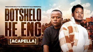 Download lagu Trechyson Molly vx, DJ Promatic SA & Dendofela - Botshelo Ke Eng (Acapella) mp3
