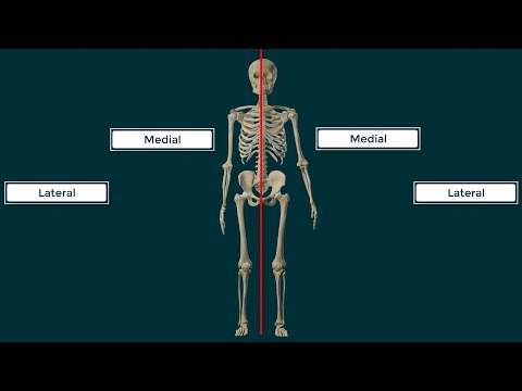 Términos Direccionales en Anatomía